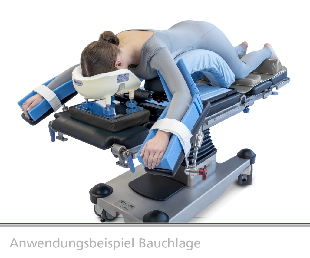 mizuhoso-osi-wilson-rahmen-anwendungsbeispiel